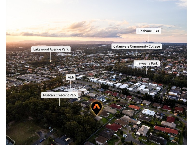 42 Muscari Crescent, Drewvale QLD 4116