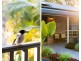 10 Potaroo Court, Greenbank QLD 4124