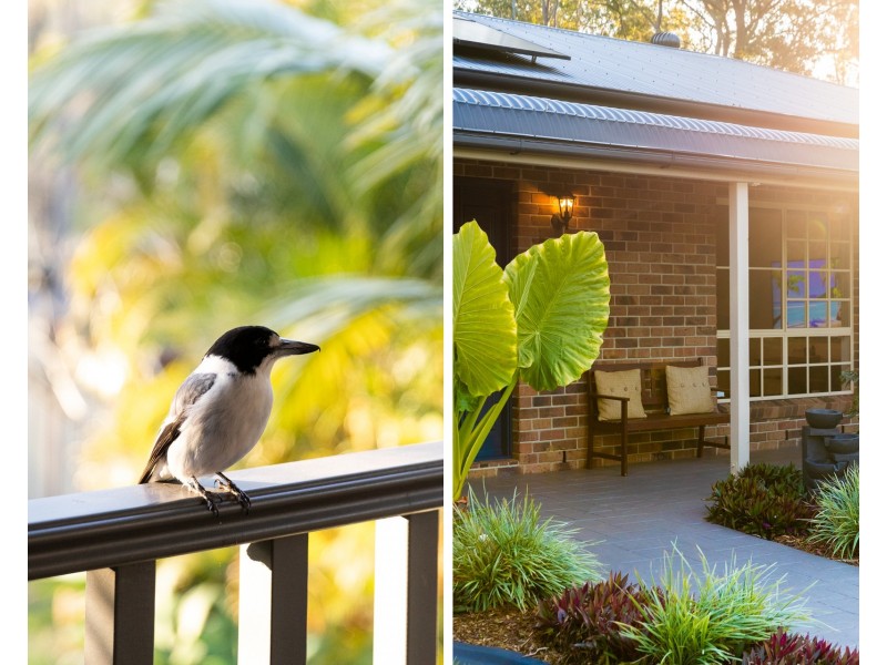 10 Potaroo Court, Greenbank QLD 4124