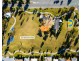 11 Isla Street, Park Ridge QLD 4125