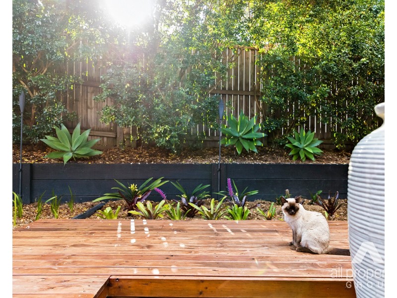 8 Hackney Street, Durack QLD 4077