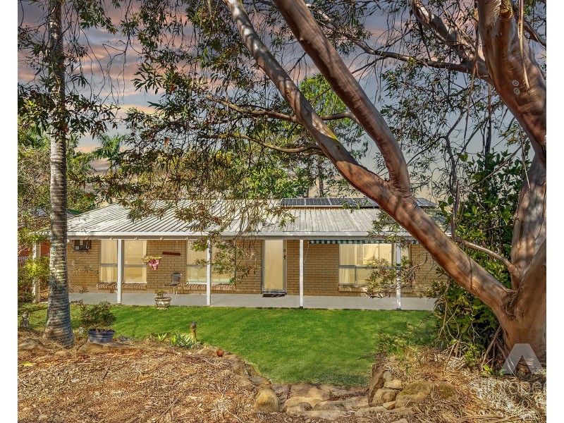 95 Conifer Street, Hillcrest QLD 4118