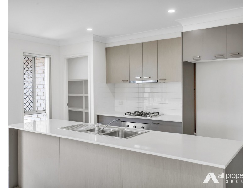 40 Mount Edwards Street, Park Ridge QLD 4125