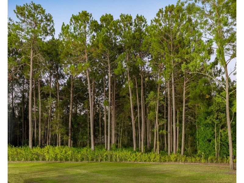 251-257 Equestrian Drive, New Beith QLD 4124