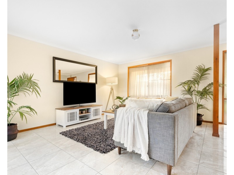 20 Comley Street, Sunnybank QLD 4109