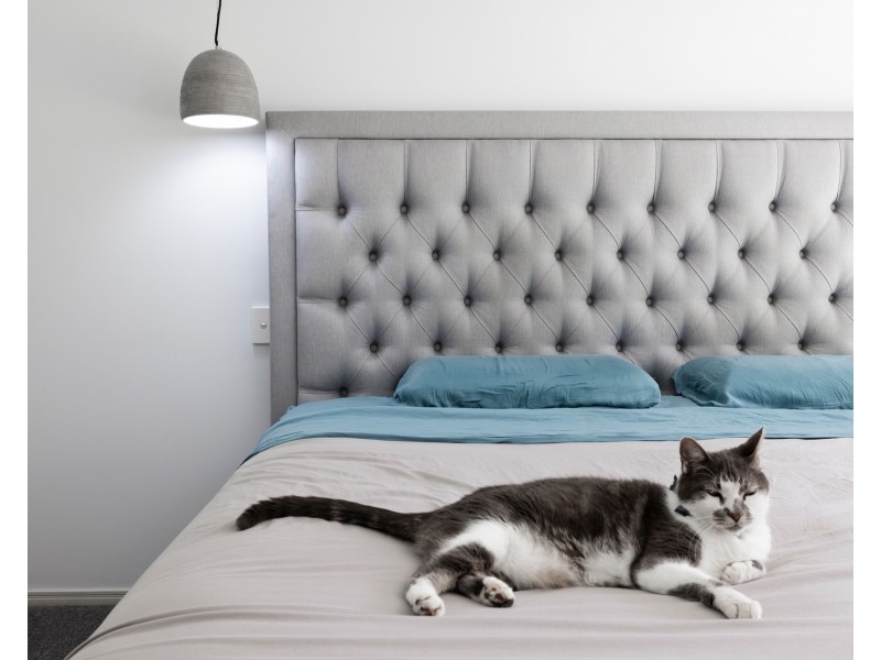 9 Shawnee Crescent, Pimpama QLD 4209