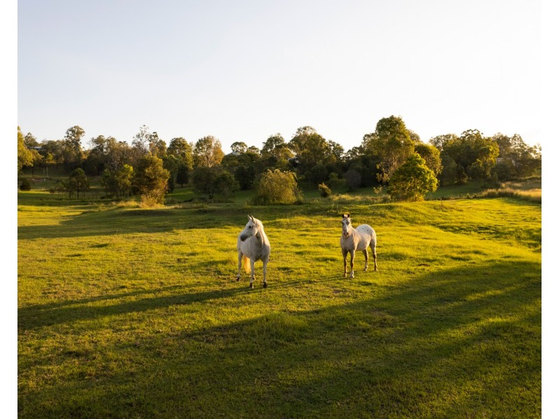 27-29 Randwick Drive, Mundoolun QLD 4285