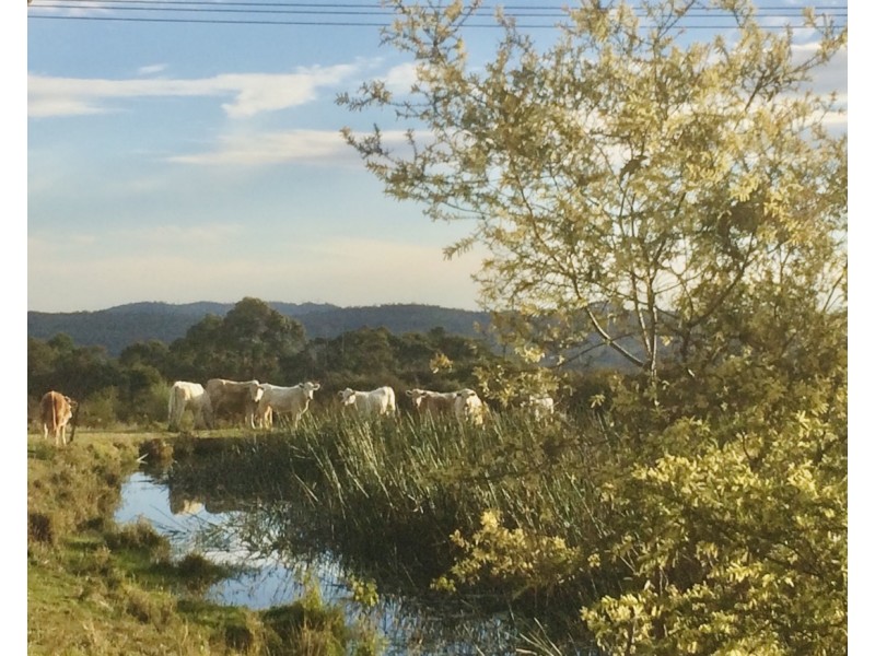 63 Ghilkes Road, Somersby NSW 2250