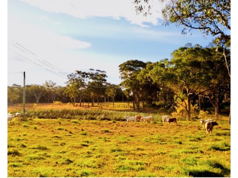 63 Ghilkes Road, Somersby NSW 2250