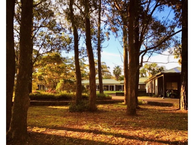 63 Ghilkes Road, Somersby NSW 2250