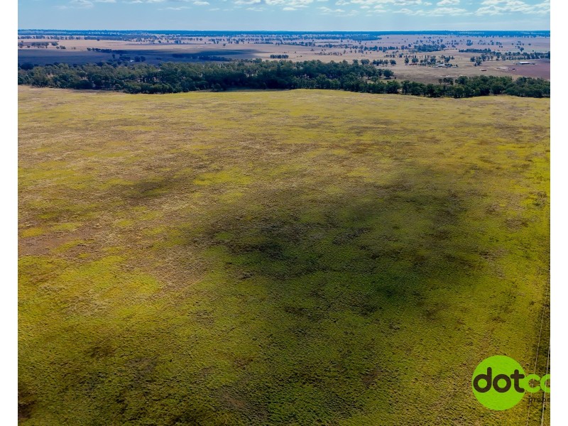 324 R Gilgandra Road, Eumungerie NSW 2831