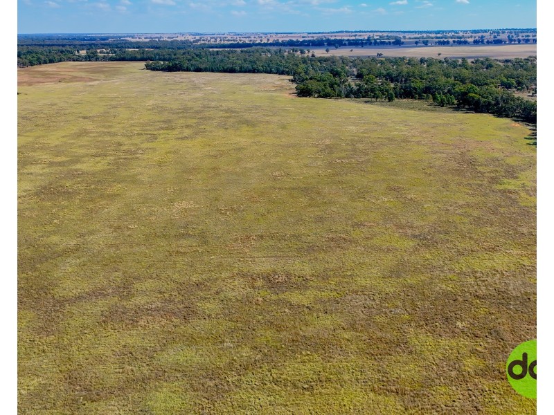 324 R Gilgandra Road, Eumungerie NSW 2831