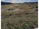 Gillieston Heights NSW 2321