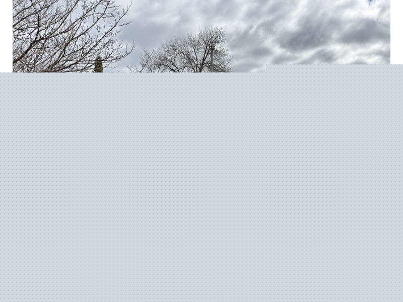 1 Essex Road, Mount Austin NSW 2650
