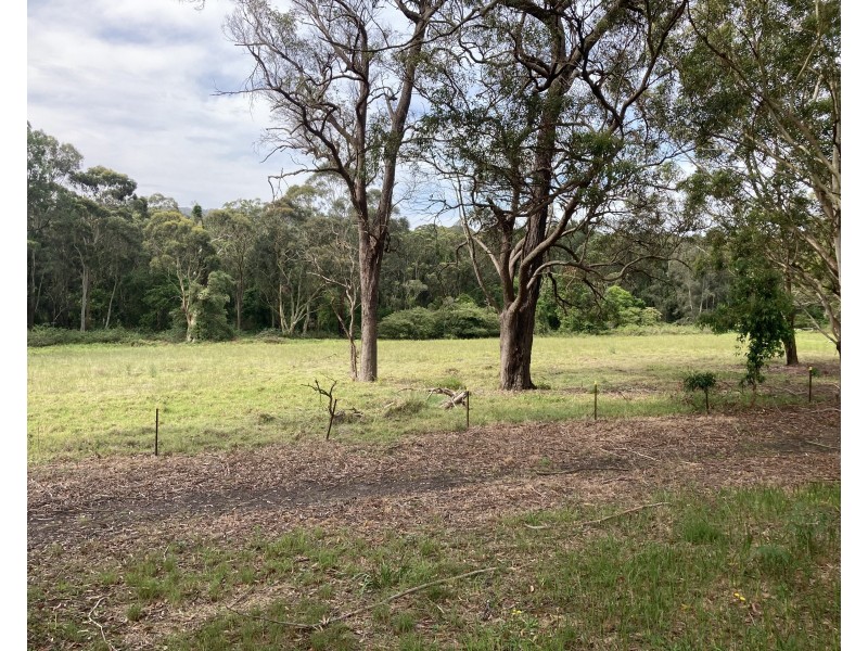 236 David Collins Place, Kincumber NSW 2251