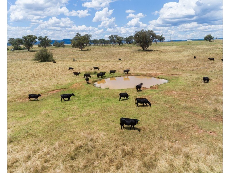 730 Ascot-Calala Road, Tamworth NSW 2340
