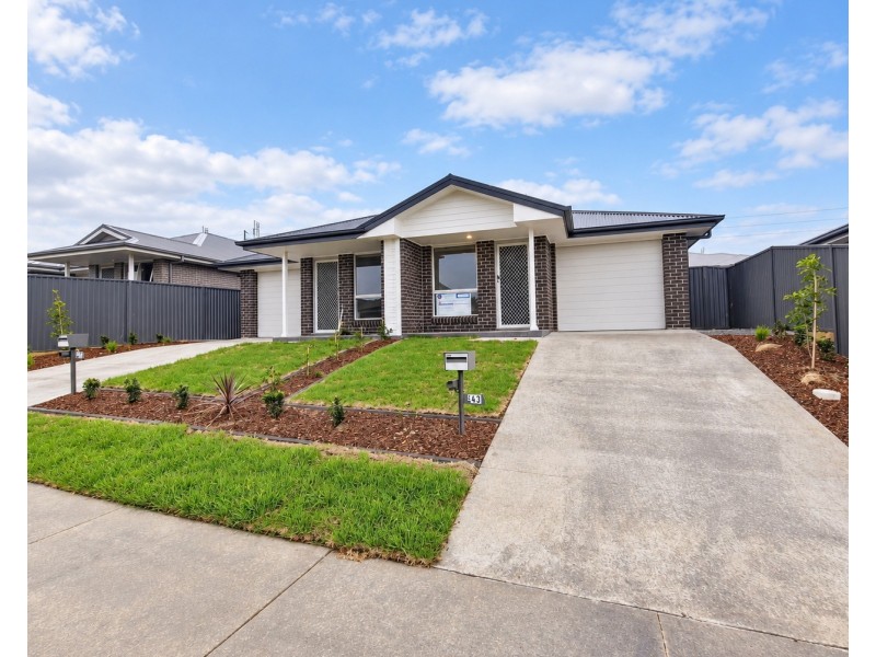 43 ASSAY STREET, Gillieston Heights NSW 2321