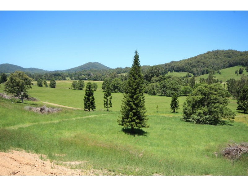 Upper Orara NSW 2450