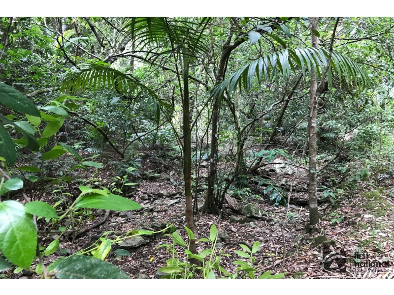 Upper Orara NSW 2450