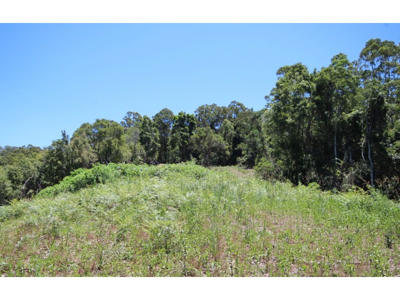 Upper Orara NSW 2450