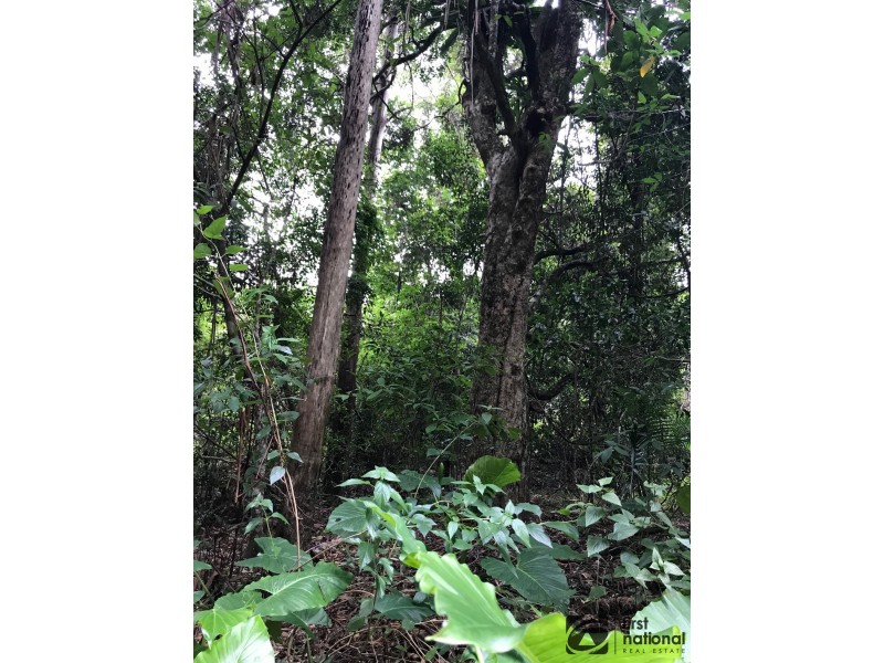 Upper Orara NSW 2450