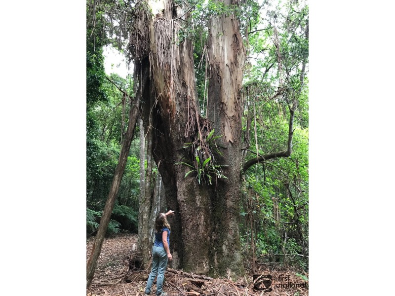 Upper Orara NSW 2450