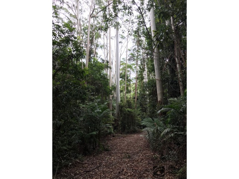 Upper Orara NSW 2450