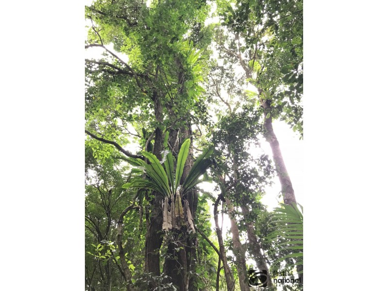 Upper Orara NSW 2450