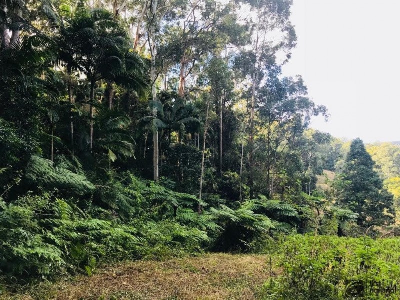 Lot 1521 Yarraman Road, Bonville NSW 2441