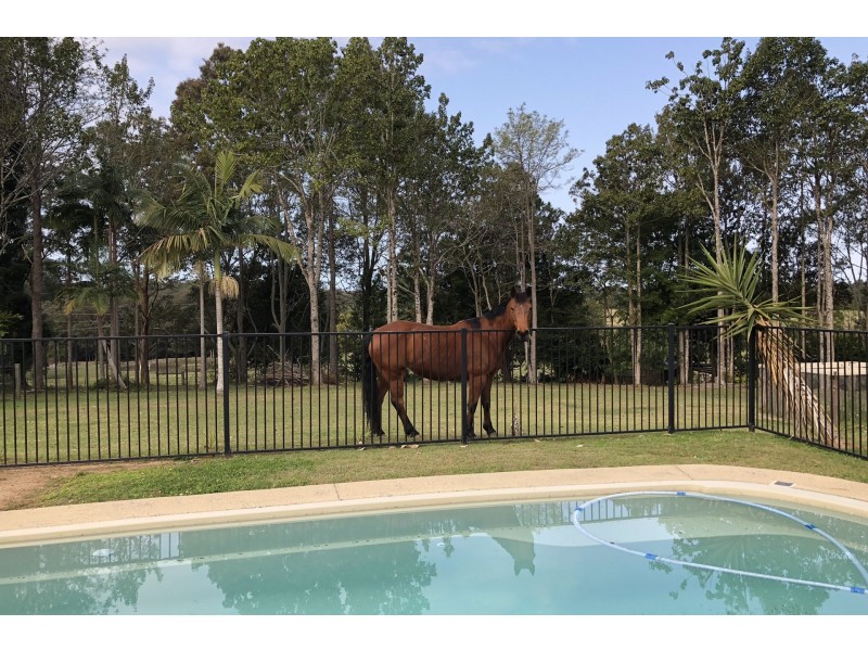 58 Butlers Road, Bonville NSW 2441