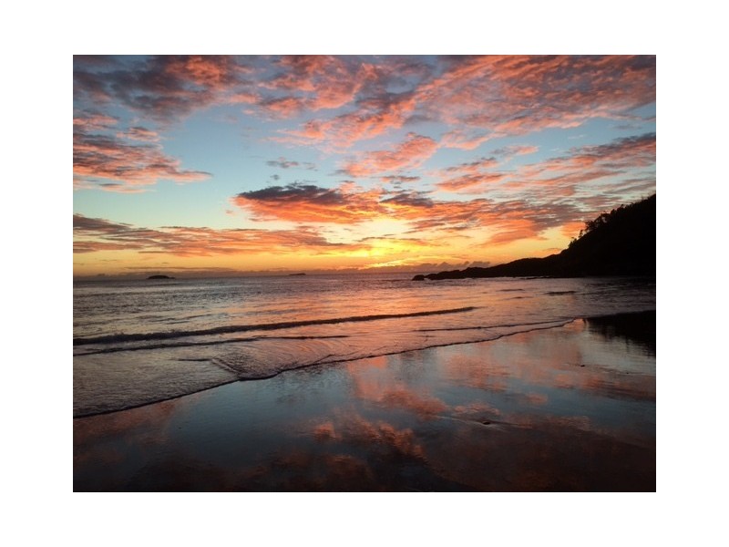 Bure 23/11 Firman Drive, Coffs Harbour NSW 2450