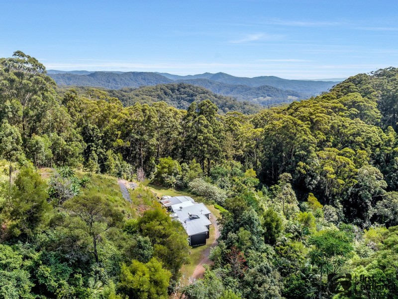164D Fridays Creek Road, Upper Orara NSW 2450
