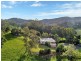 141 Mount Browne Road, Upper Orara NSW 2450