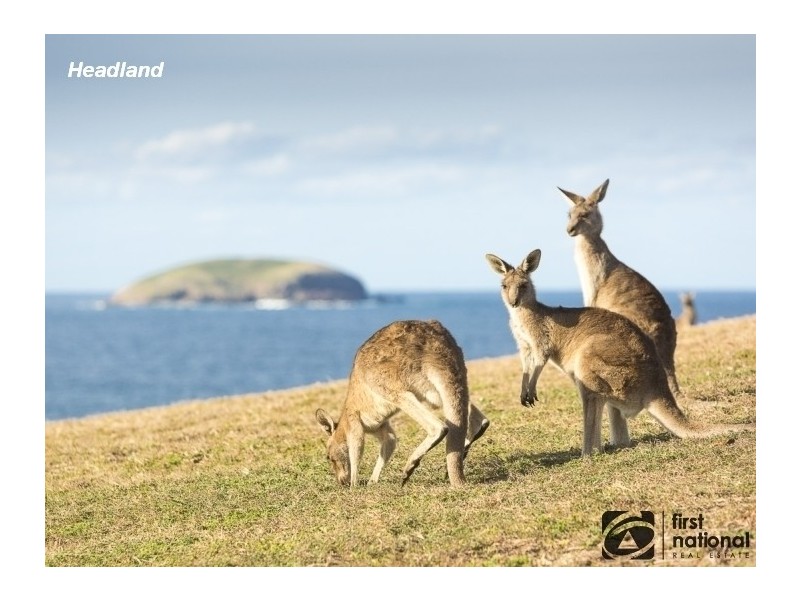 403 Seacrest Boulevarde, Seacrest Estate, Sandy Beach NSW 2456