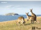 502 Seacrest Boulevarde, Sandy Beach NSW 2456