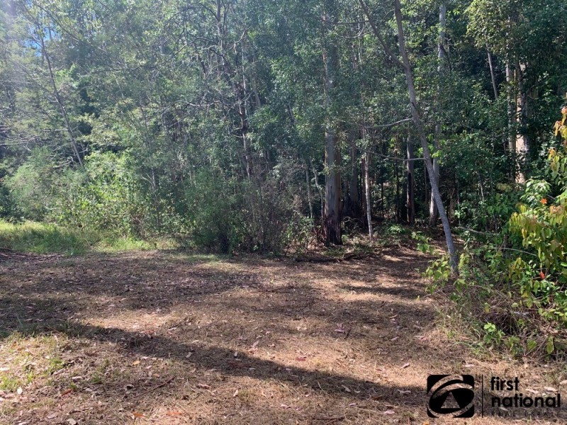 1028A East Bank Road, Nana Glen NSW 2450