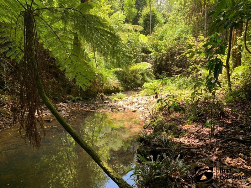 265C Dairyville Road, Upper Orara NSW 2450