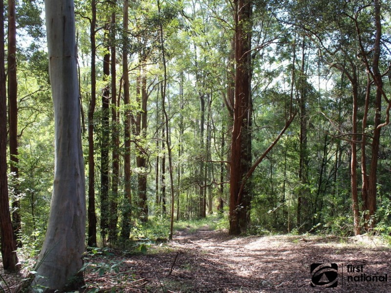 265C Dairyville Road, Upper Orara NSW 2450