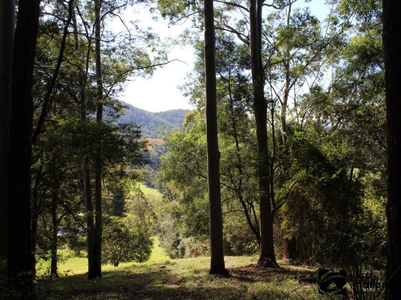 265C Dairyville Road, Upper Orara NSW 2450