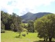 265C Dairyville Road, Upper Orara NSW 2450