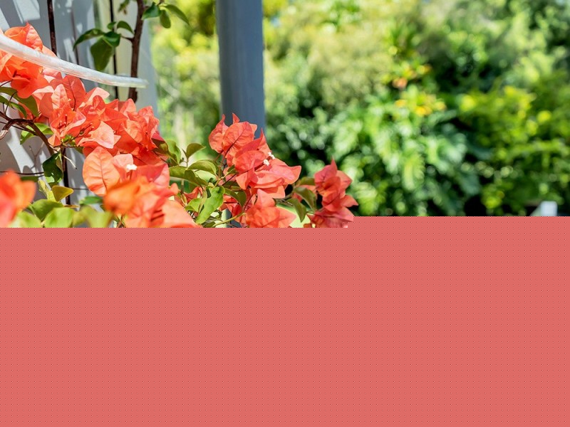 14 Lily Pad Lane, Emerald Beach NSW 2456