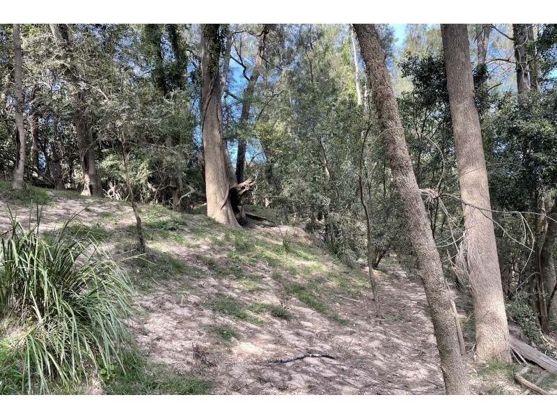 306 Orara Road, Lanitza NSW 2460