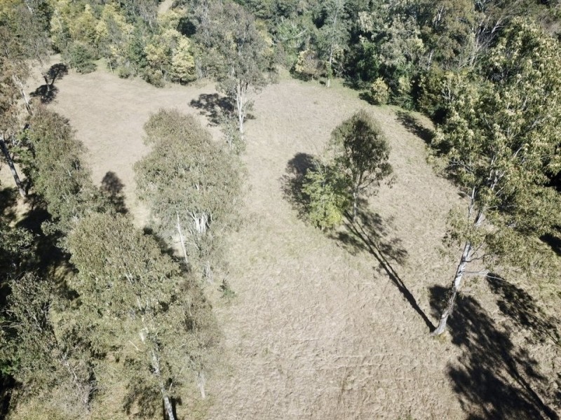 306 Orara Road, Lanitza NSW 2460