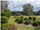 212 Mardells Road, Bucca NSW 2450