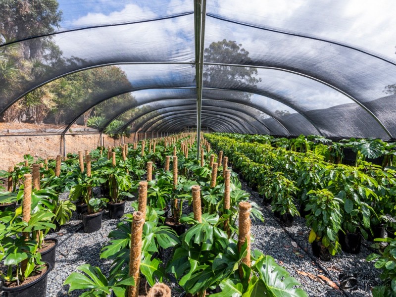 212 Mardells Road, Bucca NSW 2450