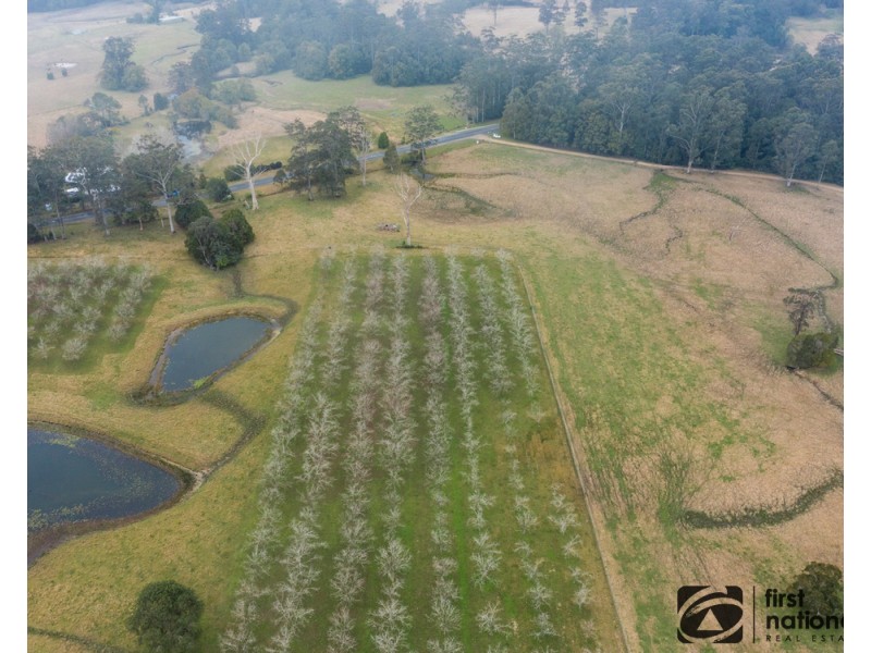 1/1239 Bucca Road, Bucca NSW 2450