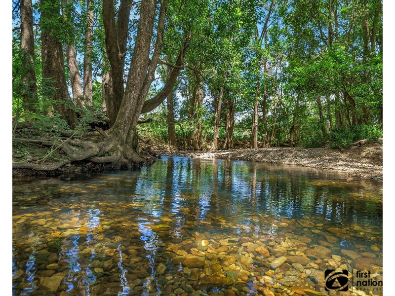 101 Coldwater Creek Road, Nana Glen NSW 2450