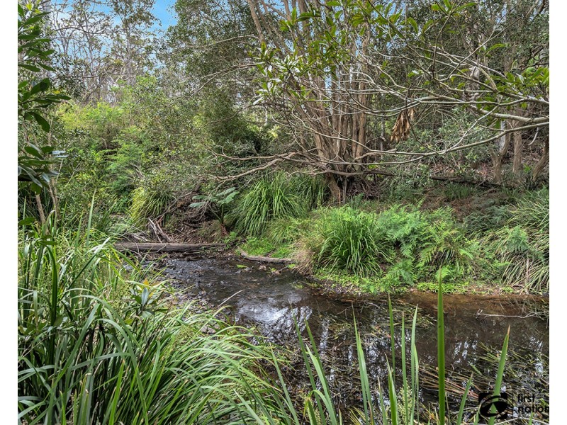 411A Cradle Creek Road, Lowanna NSW 2450