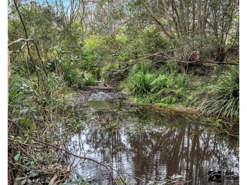 411A Cradle Creek Road, Lowanna NSW 2450