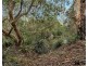 411A Cradle Creek Road, Lowanna NSW 2450